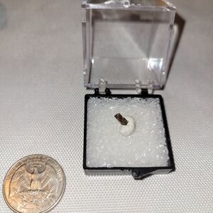 Black with Red Rutile from North Carolina in Display Box
